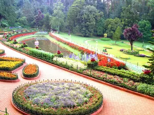 Places to visit in ooty, botanical garden
